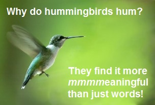 hummingbird hum